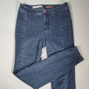 Anthropologie Pilcro High Rise Denim Legging glitter shimmer 26